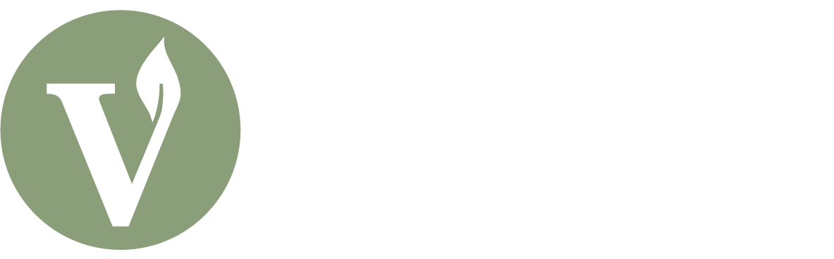 The Vine Logo